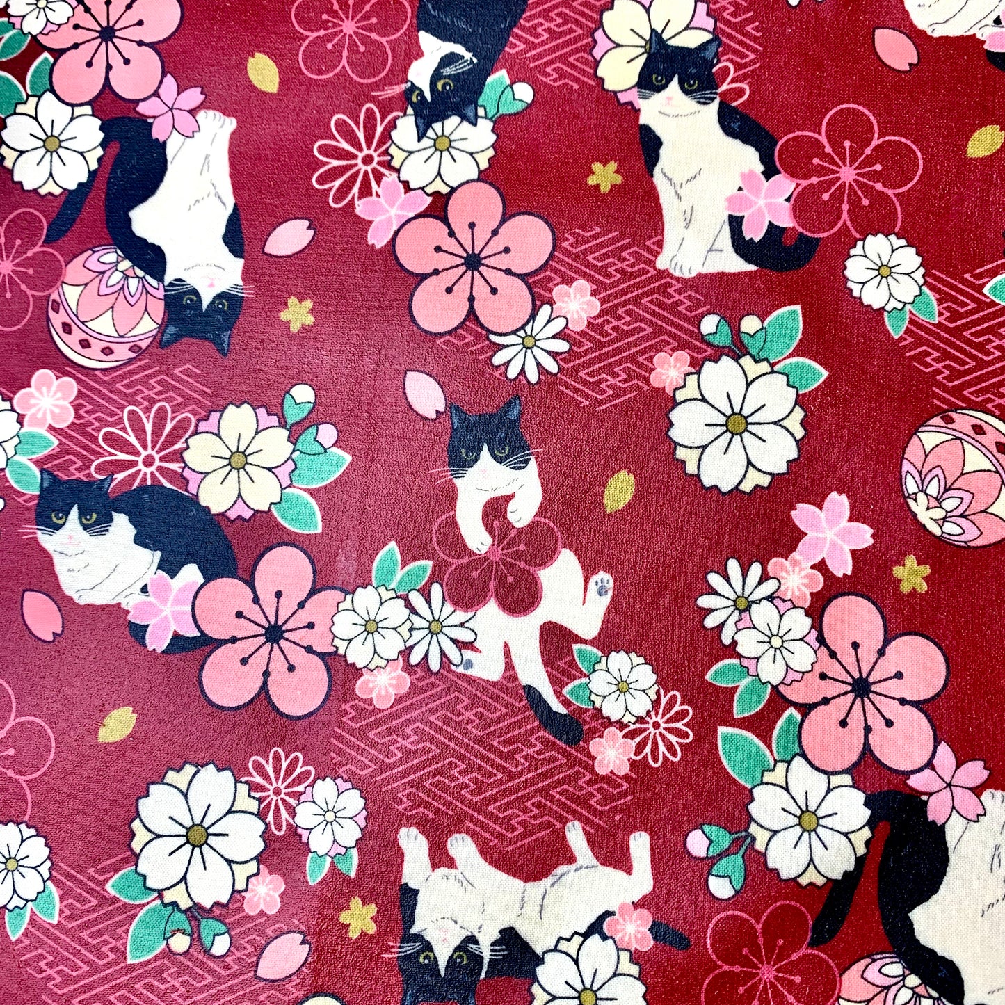 Neko, set of 4 beeswax wraps